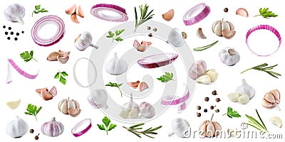 Set of fresh garlic and different seasonings on background, banner design Stock Photo