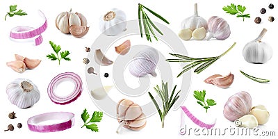 Set of fresh garlic and different seasonings on background, banner design Stock Photo