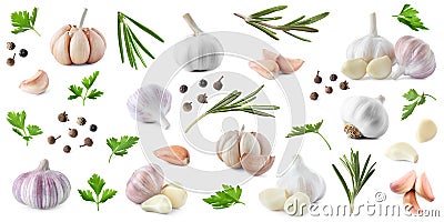 Set of fresh garlic and different seasonings on background, banner design Stock Photo