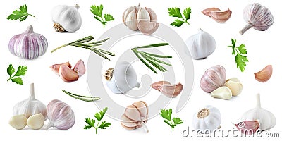 Set of fresh garlic and different seasonings on background, banner design Stock Photo