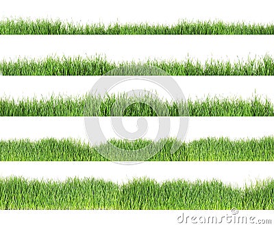 Set of fresh green grass on white Stock Photo