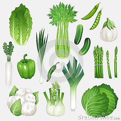 Set of fresh green vegetables. Healthy food vector illustration Vector Illustration