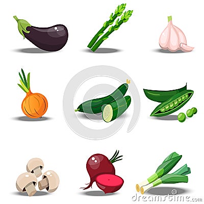 Set with fresh healty vegetables Vector Illustration