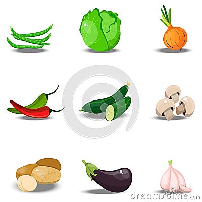 Set with fresh healty vegetables Vector Illustration