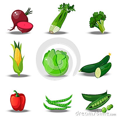 Set with fresh healty vegetables Vector Illustration