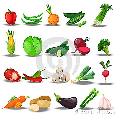 Set with fresh healty vegetables Vector Illustration