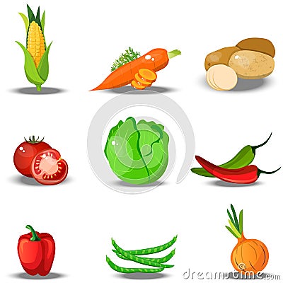 Set with fresh healty vegetables Vector Illustration