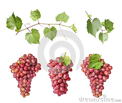 Set of fresh juicy grapes and leaves on white Stock Photo