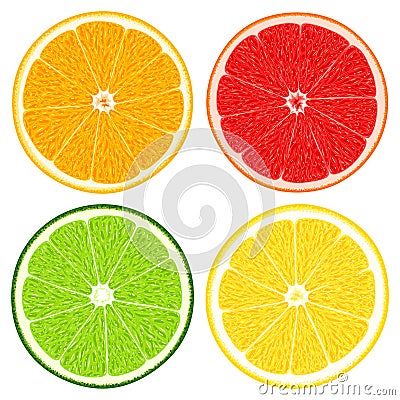 Set of fresh juicy sliced citrus fruits - orange, lemon, lime and grapefruit Vector Illustration