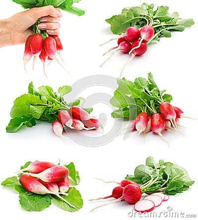 Set of fresh red radish with green leaf Stock Photo