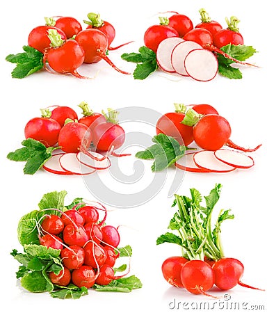 Set fresh red radish vegetables with green leaves Stock Photo