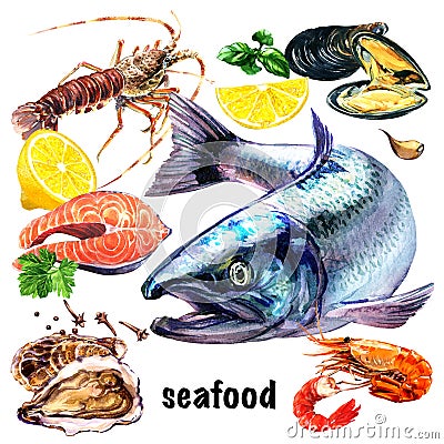 Set of fresh seafood, atlantic salmon fish, crayfish, oyster, sea mussels, salmon steak, boiled prawn and lemon, sea Cartoon Illustration