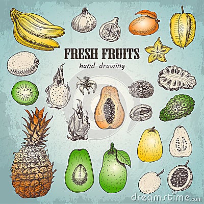 Set of fresh tropical fruits in sketch style Vector Illustration