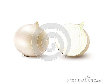 Set of Fresh Whole and Sliced White Onion Bulbs Vector Illustration