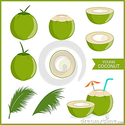 Set of fresh young coconut in vector format and various style Vector Illustration