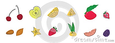 Set of fruit illustration. Cocktail garnish. Vector Illustration