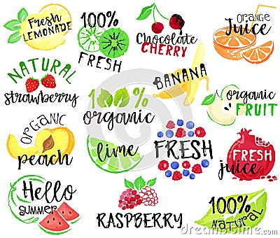 Set of fruit labels and stickers Vector Illustration