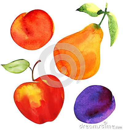 Set of fruits. Apple, pear, plum and apricot Stock Photo