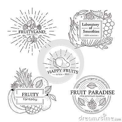 Set of fruits badges, logos and design elements. Vector Illustration