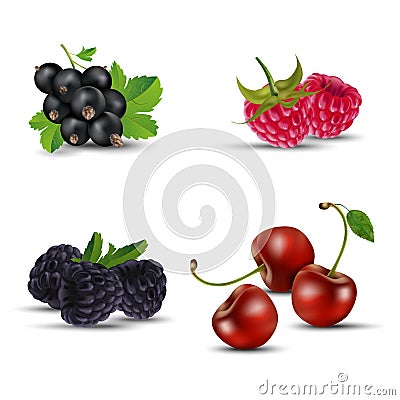 Set of fruits - blackcurrant, raspberry, blackberry and cherry Stock Photo