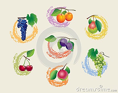 Set of fruits Vector Illustration