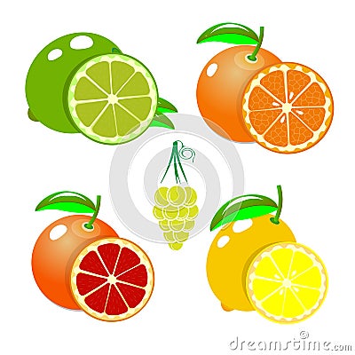 Set of fruits orange, lemon, lime, grapefruit,. Cartoon fruits clipart collection. Icons isolated on white background. Vector Vector Illustration