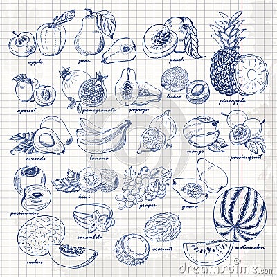 Set of fruits on paper. Vector hand drawing sketch illustration Cartoon Illustration