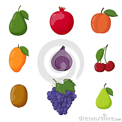 Set of fruits. Vegetarian food, healthy eating concept. Avocado, pomegranate, peach, mango, fig, cherry, kiwi, grape Vector Illustration