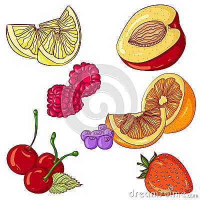Set of fruits on white background Vector Illustration