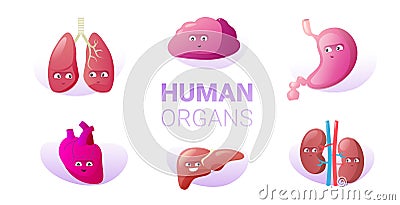 Set funny anatomical mascot kidneys lungs brain stomach heart liver characters cute human body internal organs Vector Illustration