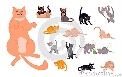 Set of funny cats Vector Illustration