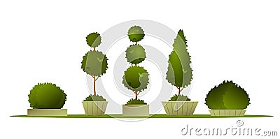 Set garden topiary Vector Illustration