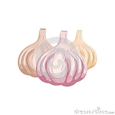 Set of garlics isolated on white background. Organic food. Cartoon style. Vector illustration for design. Vector Illustration