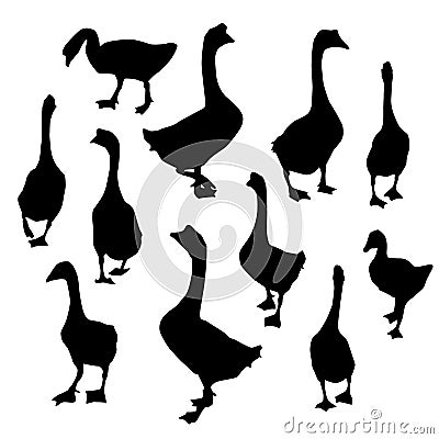 Set geese, Black duck goose silhouette isolated on white background. Vector Vector Illustration