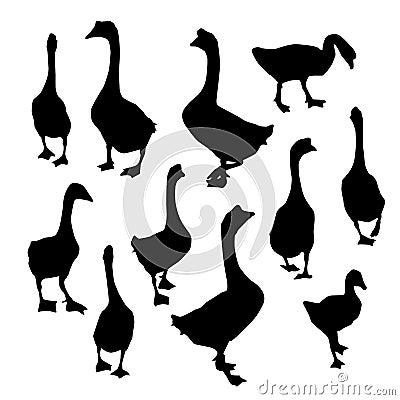 Set geese, Black duck goose silhouette on white background. Vector Vector Illustration