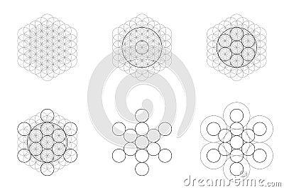 Set of geometrical elements and shapes. Sacred Geometry Flower of Life and Metatron Cube transition. Vector Illustration