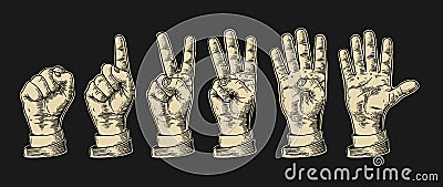 Set of gestures of hands counting from zero to five. Male Hand sign Vector Illustration