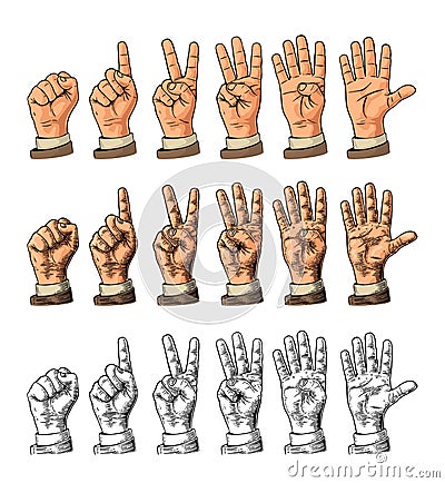 Set of gestures of hands counting from zero to five. Male Hand sign. Cartoon Illustration