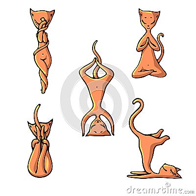 A set of ginger yoga cats in the style of children`s illustration. Vector Illustration