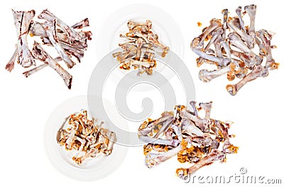 Set of gnawed chicken bones isolated on white Stock Photo