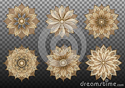 Set gold geometric transparent flowers for chinese new year backgrounds and decorations Vector Illustration