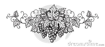 Set of grapes monochrome sketch. Vector Illustration