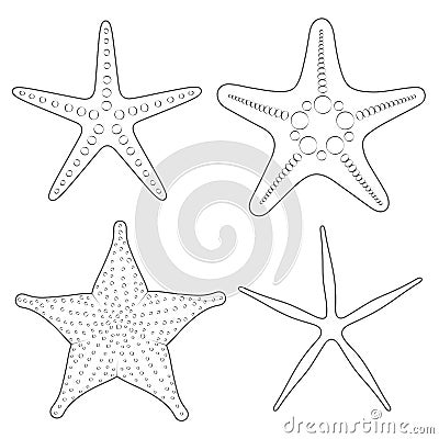 Set of graphic black and white images of sea stars. Isolated vector objects. Vector Illustration