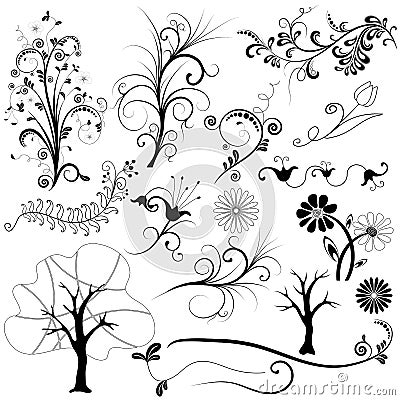 Set graphic floral element Vector Illustration