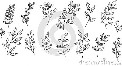 Set of graphic vector black plant branches with leaves and berries Vector Illustration