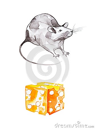 A set of gray rat and a piece of yellow cheese. Symbol of 2020 new year. Watercolor illustration isolated on white background Cartoon Illustration