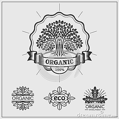 Set of green labels and badges for organic, eco and bio products on black background. Vector Illustration