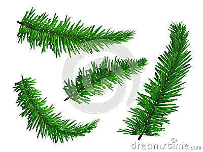 Set of green lush spruce branches. Symbol of Christmas and New Year isolated on white background. Vector illustration Vector Illustration