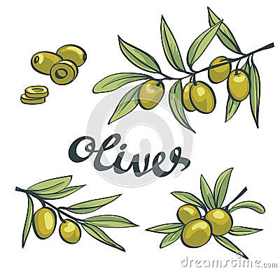 Set of green olives. Vector isolated objects. Vector Illustration