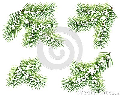 Set green pine branch isolated on white. Fir branch under snow Vector Illustration